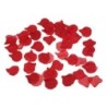 100 Pétalos Rojo de Diablo Picante | Piumer