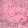 100 Pétalos Rosa de Diablo Picante | Piumer