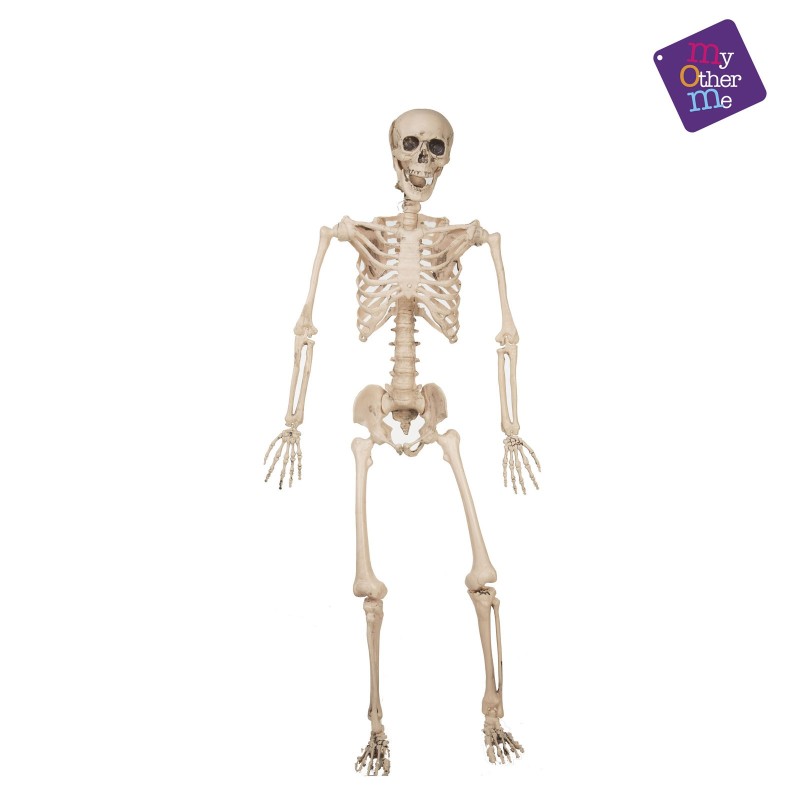 Esqueleto