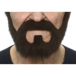 Bigote
