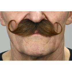 Bigote