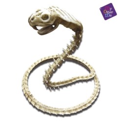 Cobra esqueleto