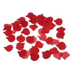 100 Pétalos Rojo de Diablo Picante | Piumer Erotic