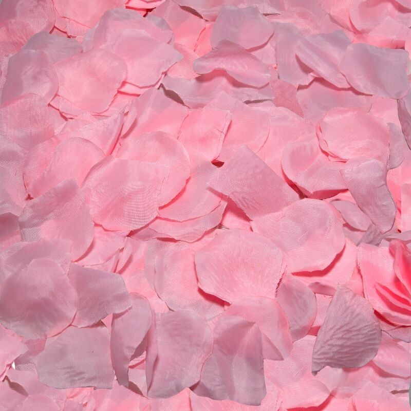 100 Pétalos Rosa de Diablo Picante | Piumer Erotic