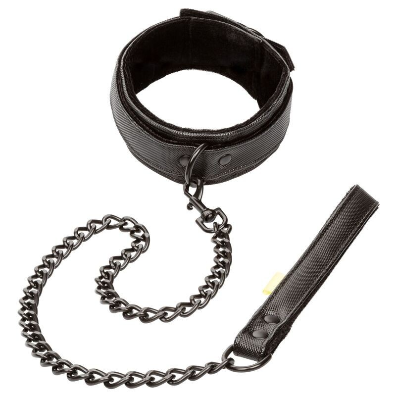 Boundless Collar Con Correa de Calexotics | Piumer