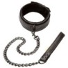 Boundless Collar Con Correa de Calexotics | Piumer