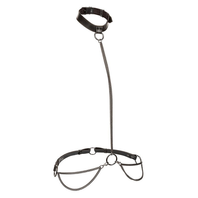 Euphoria Collar Halter Y Correa Con Cadena Talla Plus de Calexotics | Piumer