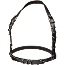Euphoria Arnés Hatler Con Hebilla Negro de Calexotics | Piumer