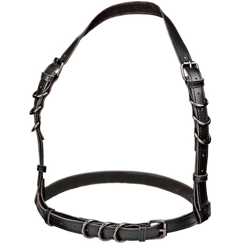 Euphoria Arnés Hatler Con Hebilla Talla Grande Negro de Calexotics | Piumer