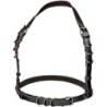 Euphoria Arnés Hatler Con Hebilla Talla Grande Negro de Calexotics | Piumer